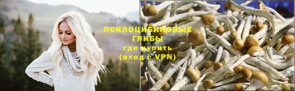 тгк Красноперекопск