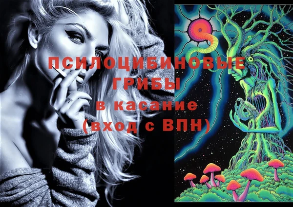 ПСИЛОЦИБИНОВЫЕ ГРИБЫ Краснослободск