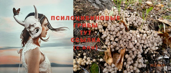 ПСИЛОЦИБИНОВЫЕ ГРИБЫ Краснослободск