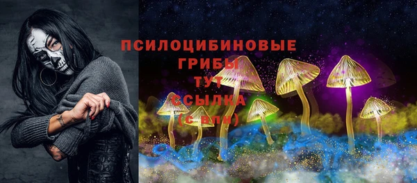 амф Краснотурьинск
