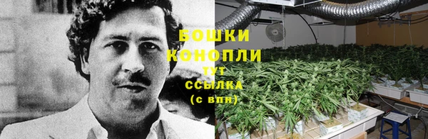 Альфа ПВП Кулебаки