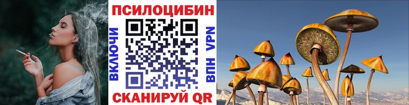Псилоцибиновые грибы Cubensis  Белёв 